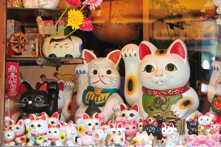 mèo maneki neko nhật bản mèo maneki neko nhật bản